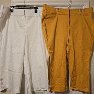 Lane Bryant White and Yellow Cropped Pants Set 22